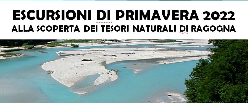 immagine non presente